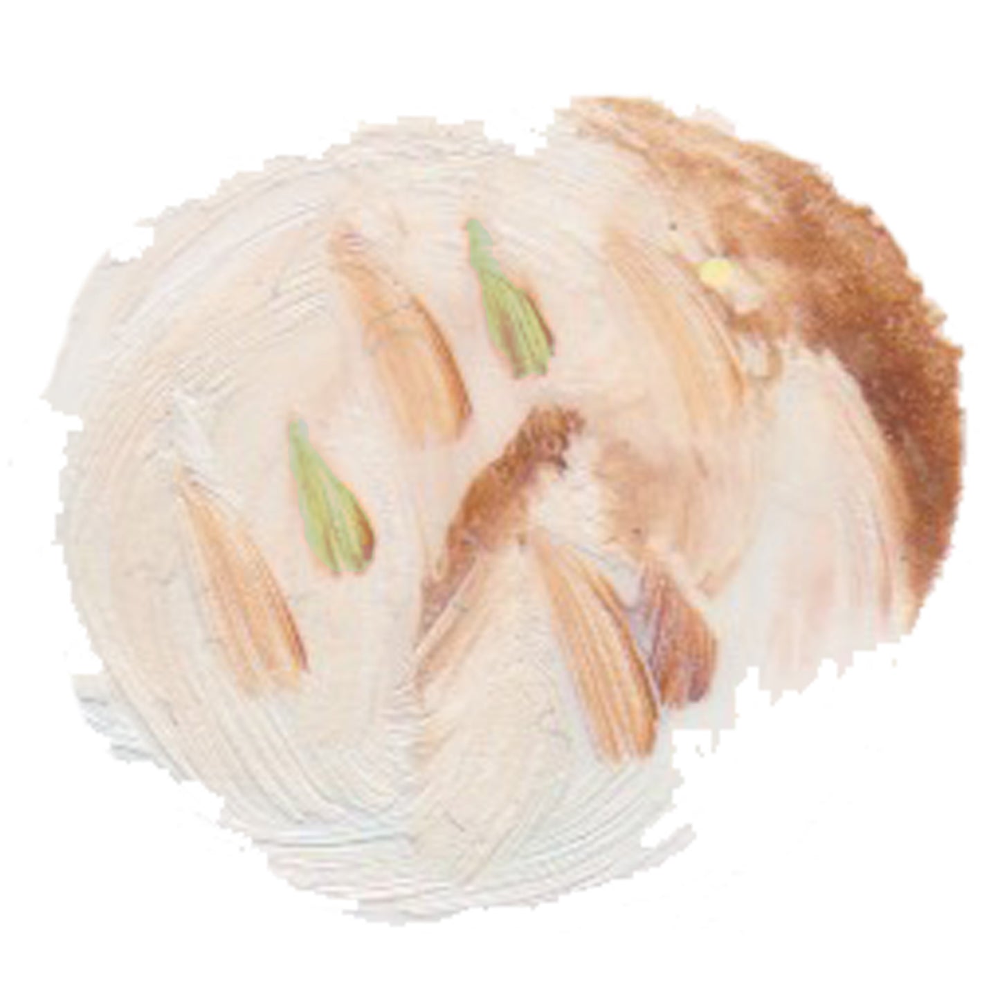 ミントチョコチップ