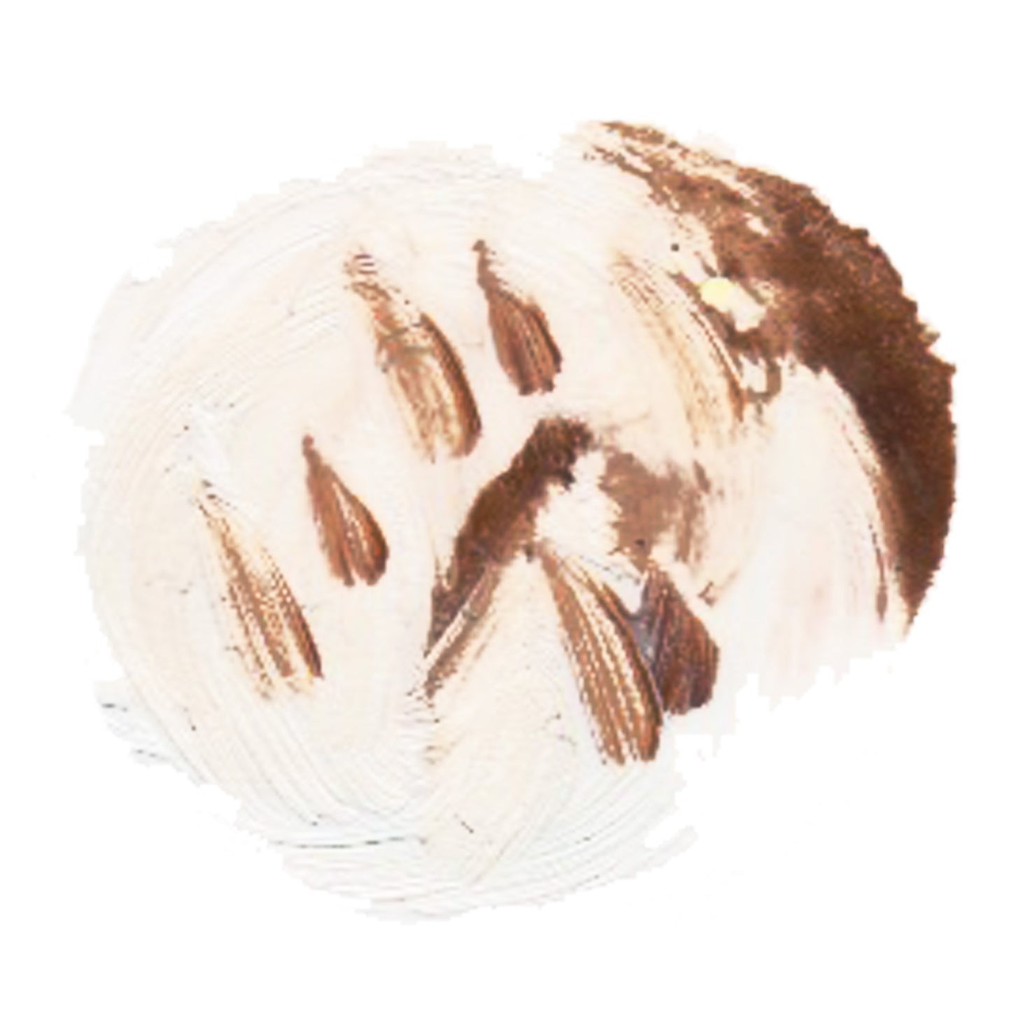 ストラッチャテッラ