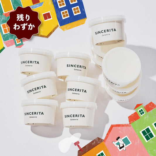 2026カカオジェラート12個セット