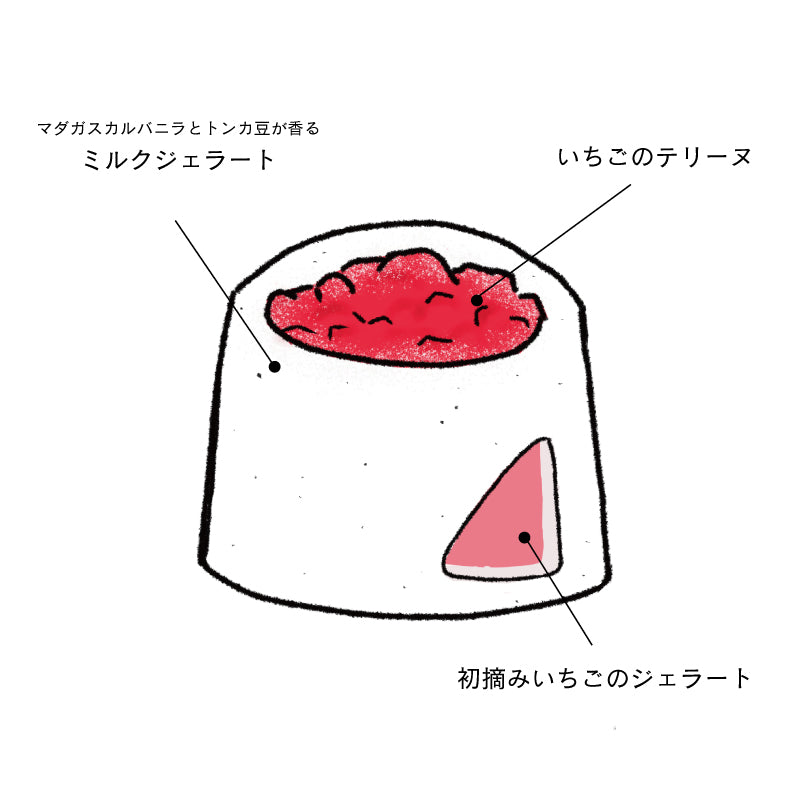 【店頭受け取り】エデンベリー/Eden Berry